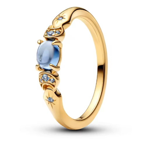Anéis Encanto Eterno – Princesas Disney Luxo